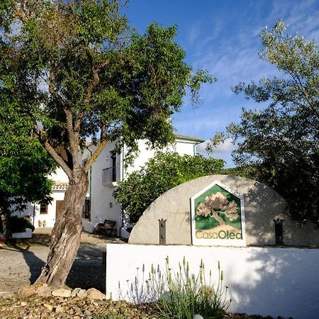 Casa Olea Bed & Breakfast Priego De Cordoba Exterior photo