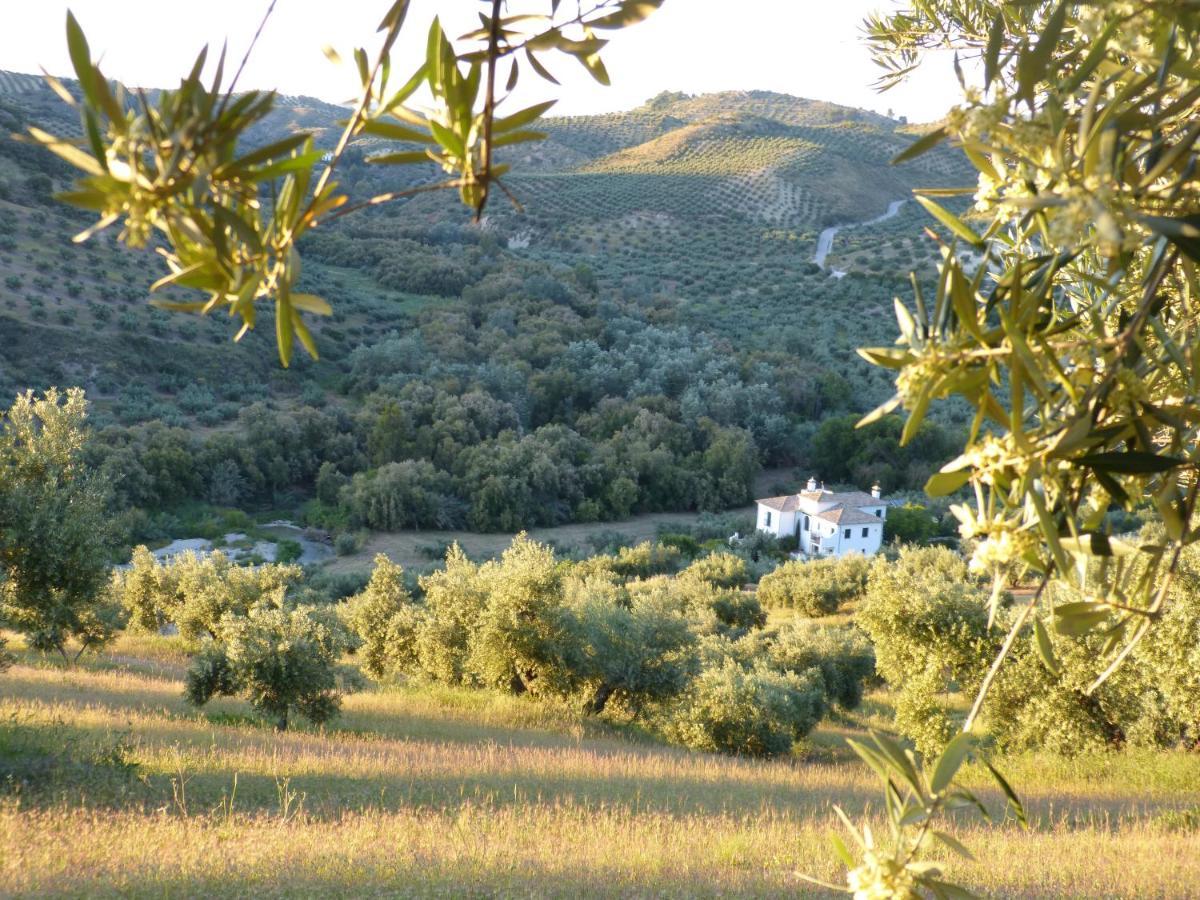 Casa Olea Bed & Breakfast Priego De Cordoba Exterior photo