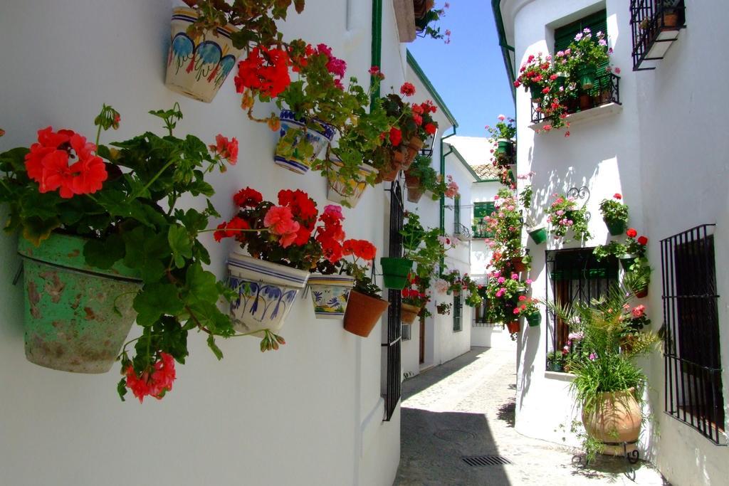 Casa Olea Bed & Breakfast Priego De Cordoba Exterior photo