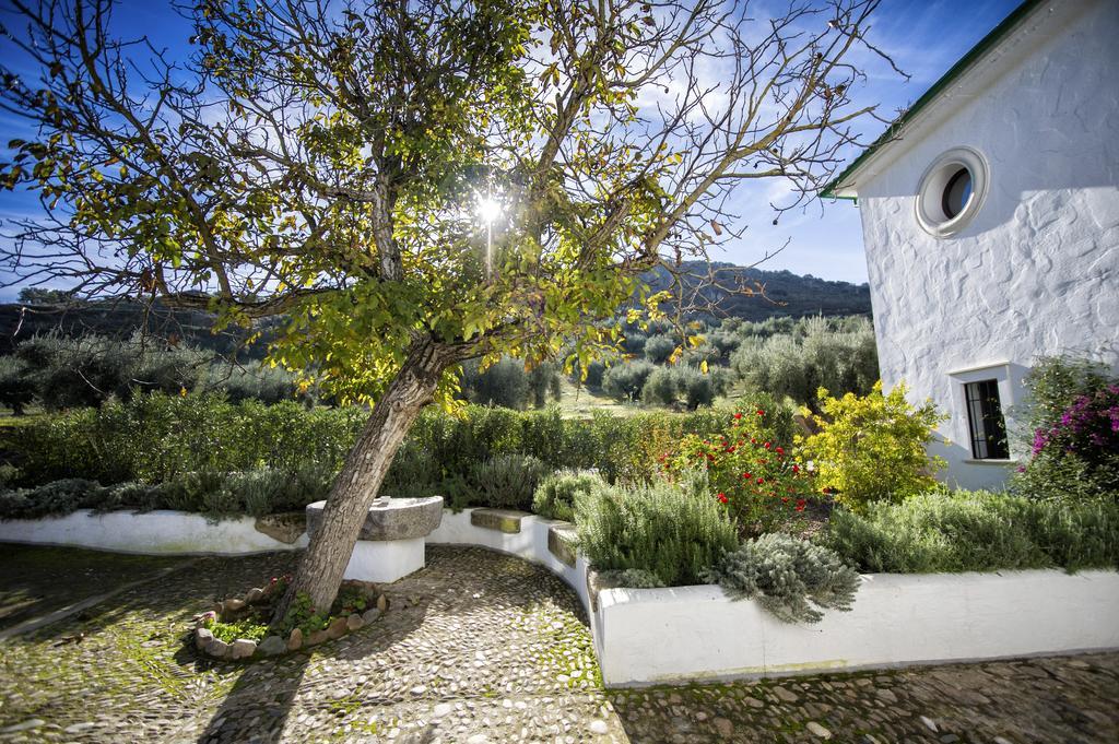 Casa Olea Bed & Breakfast Priego De Cordoba Exterior photo